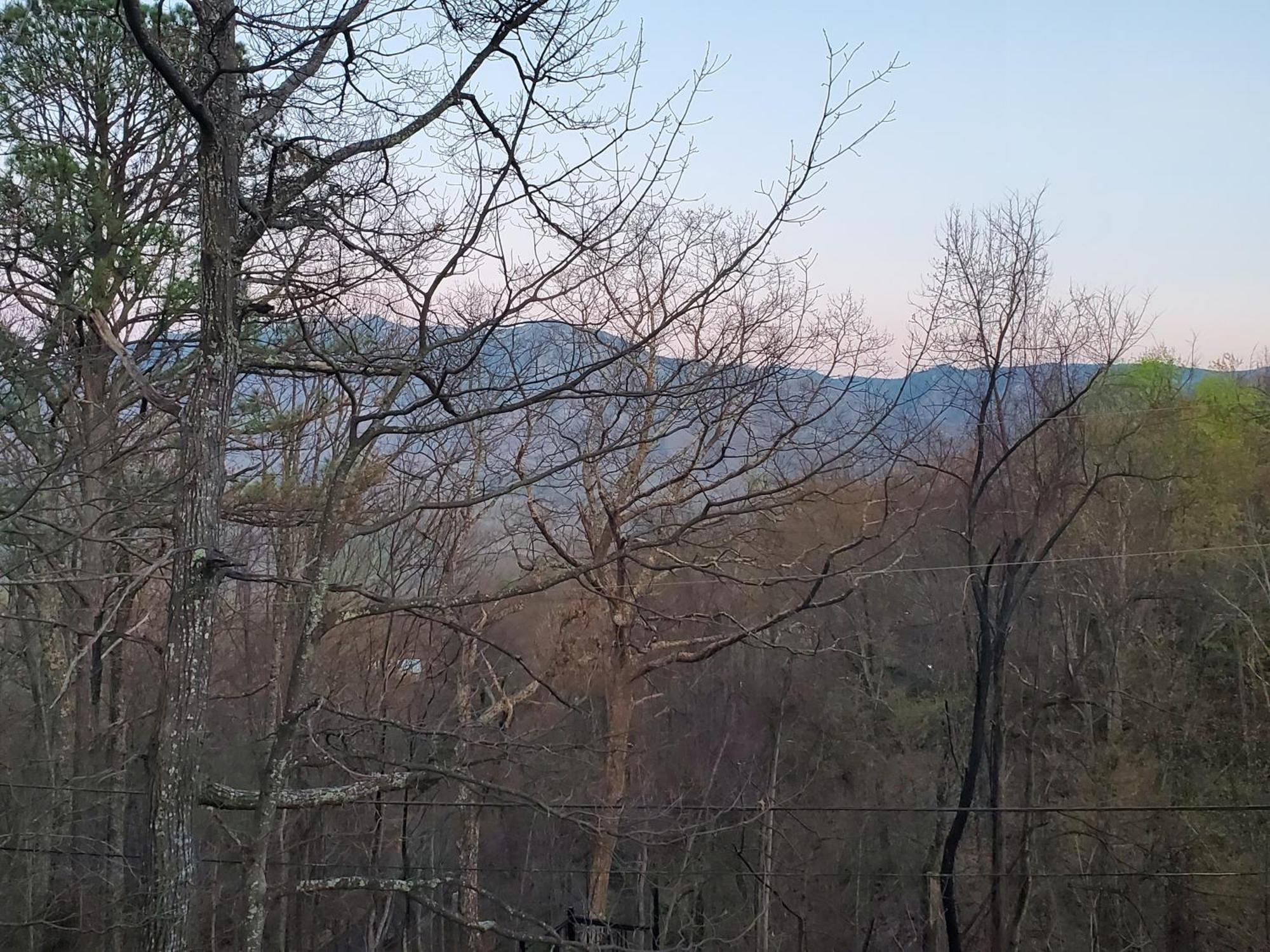 Treetops Chalet - 3Bd/2Bt Boutique Cabin W/Mt Leconte Views In Gatlinburg Dış mekan fotoğraf